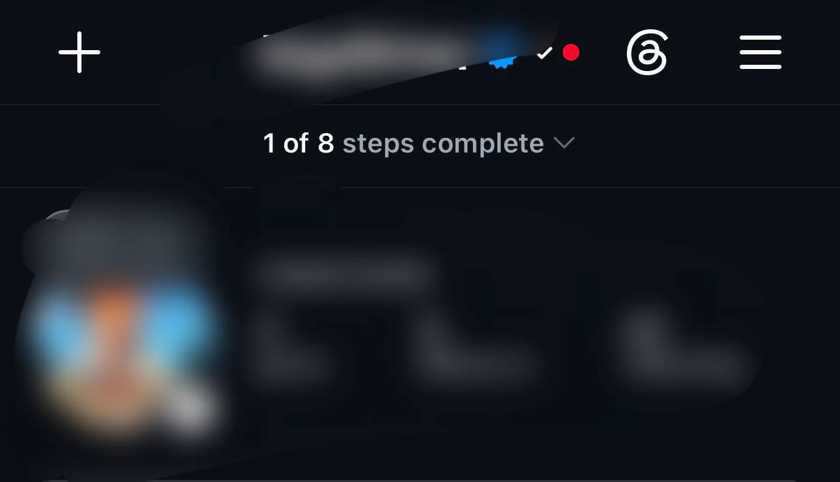 Meta Verification — proof 4