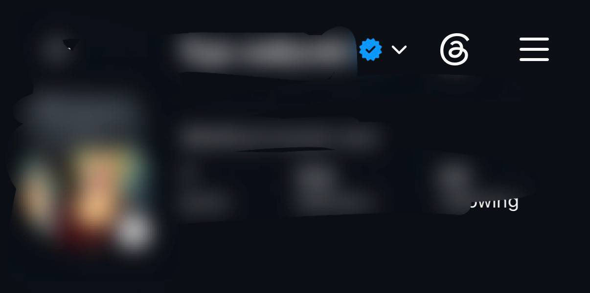 Meta Verification — proof 3